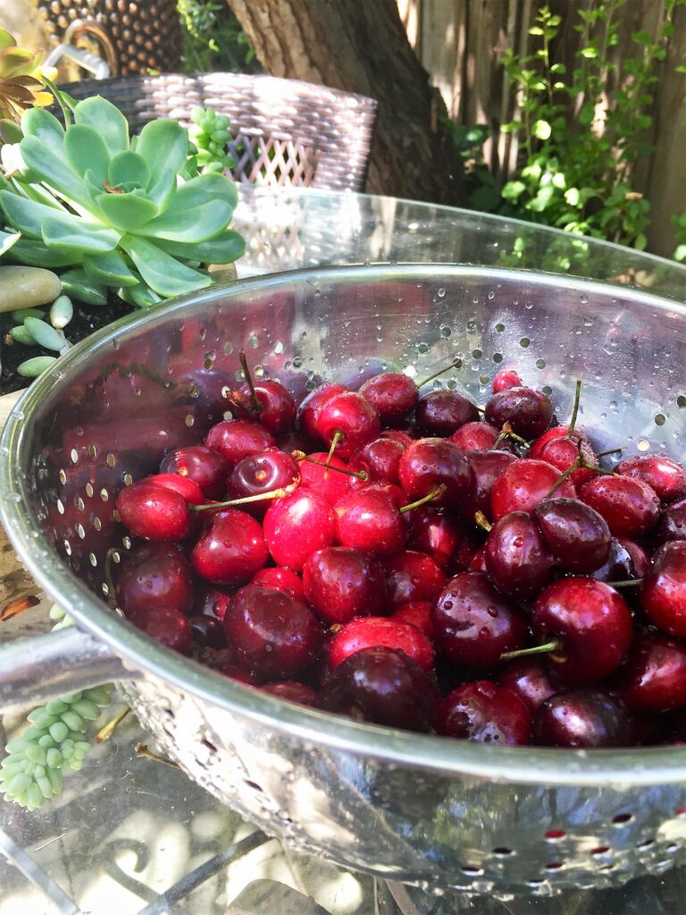 stainless colander full of freshly washed cherries on outdoor glass table with a potted succulent off to the side 