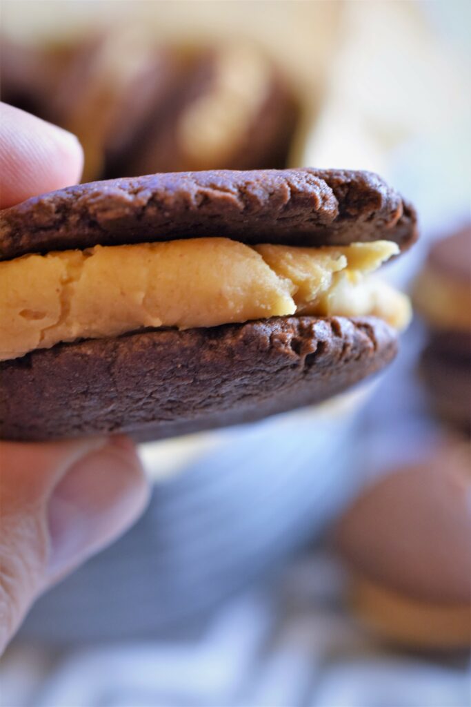 up close image of holding one cookie